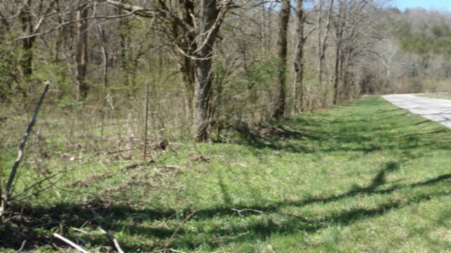 78 Ac Baugh Hollow Rd Property Photo 38