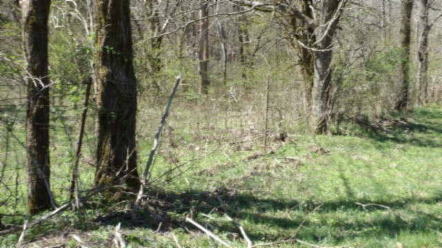 78 Ac Baugh Hollow Rd Property Photo 39