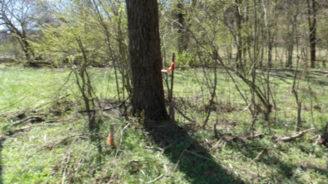 78 Ac Baugh Hollow Rd Property Photo 40