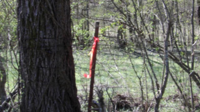 78 Ac Baugh Hollow Rd Property Photo 41