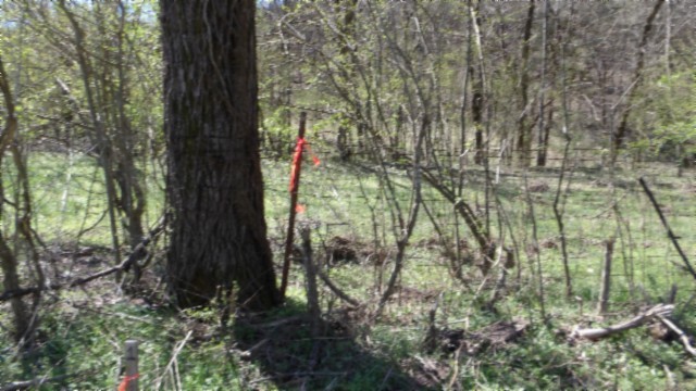 78 Ac Baugh Hollow Rd Property Photo 42