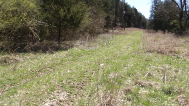 90 Ac Baugh Hollow Rd Property Photo