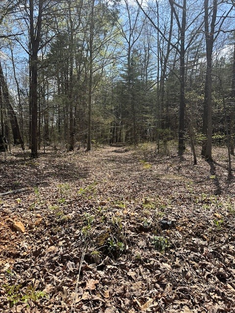 3601 Bowker Rd Property Photo
