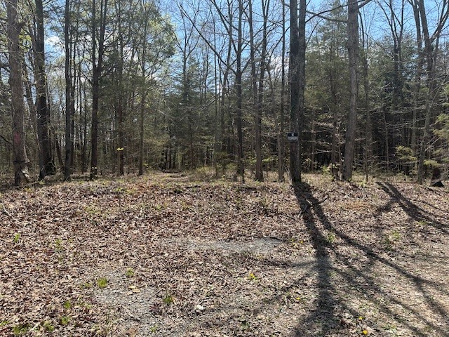 3601 Bowker Rd Property Photo 2