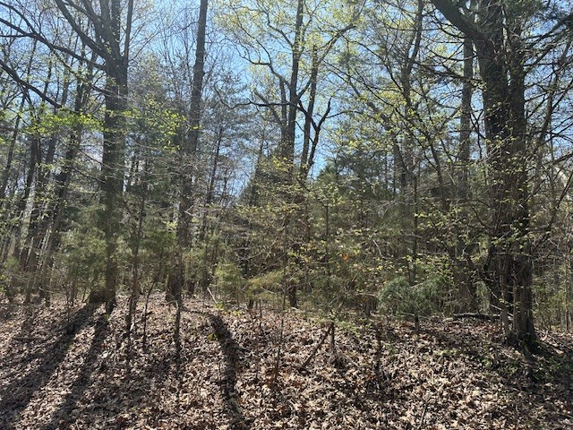 3601 Bowker Rd Property Photo 3