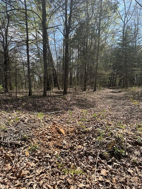 3601 Bowker Rd Property Photo 4