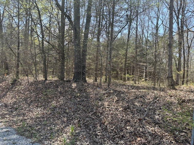3601 Bowker Rd Property Photo 5