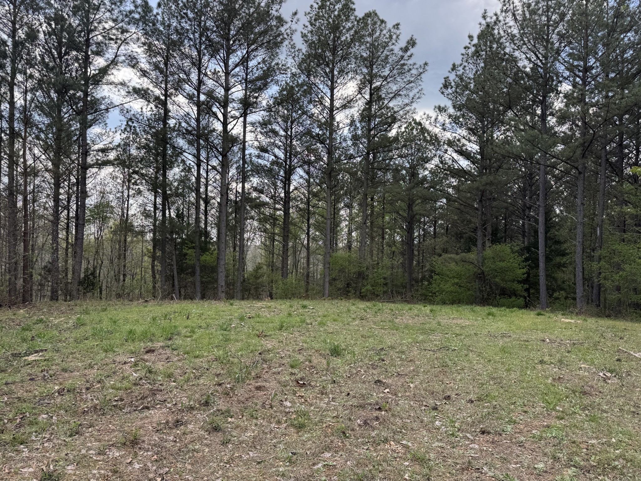 0 Ary Cemetery Property Photo