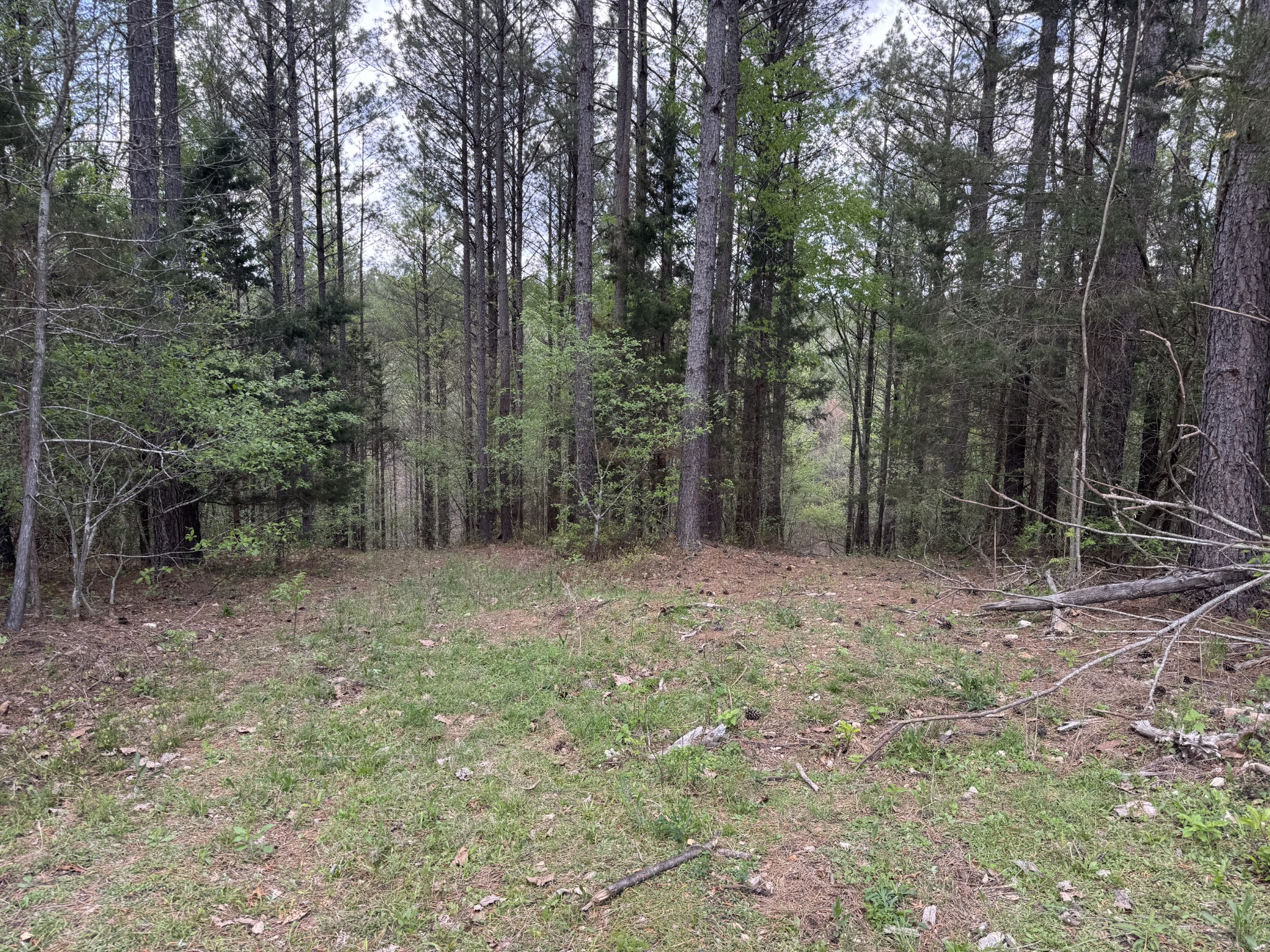 0 Ary Cemetery Property Photo 8