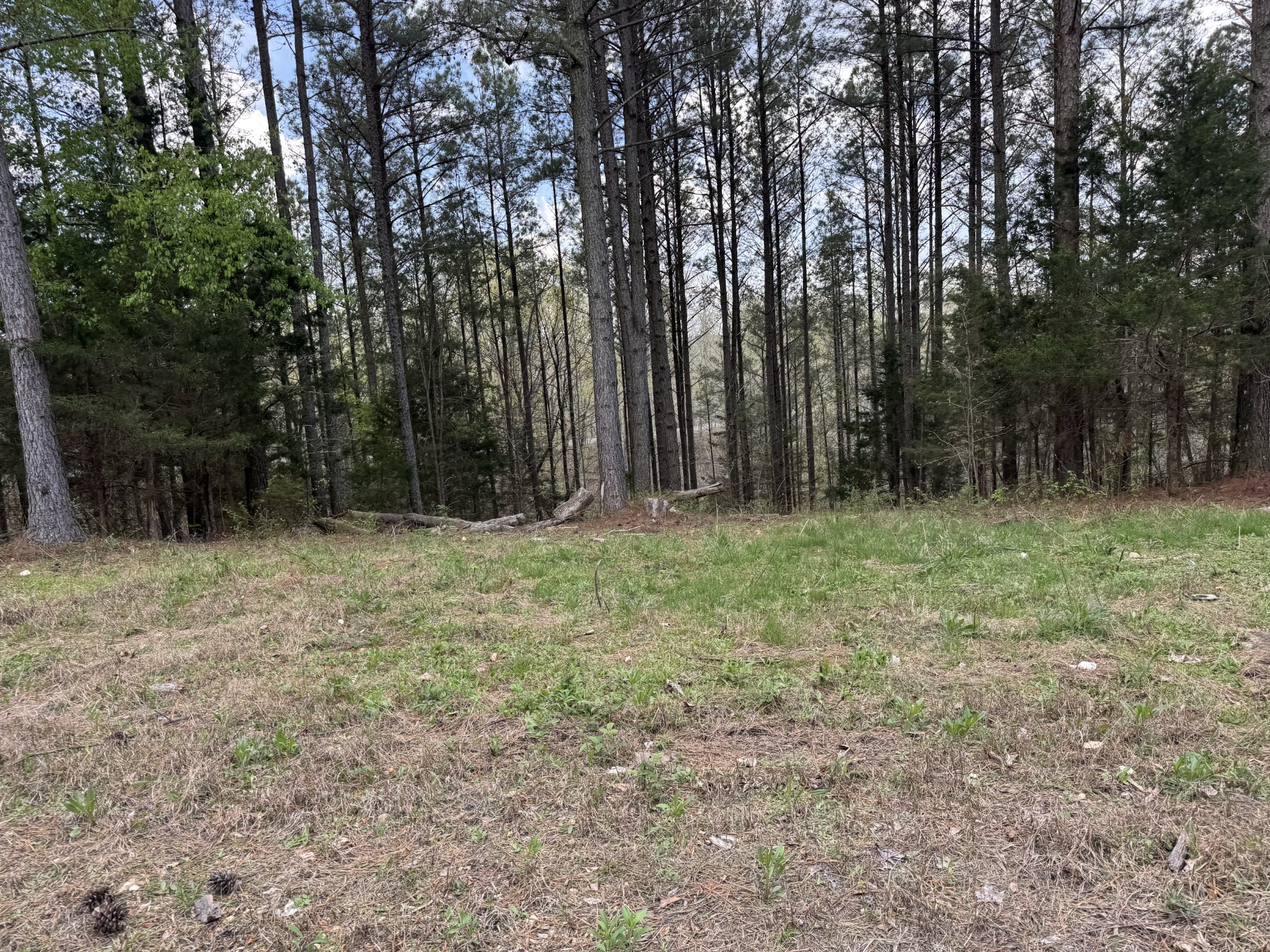 0 Ary Cemetery Property Photo 14