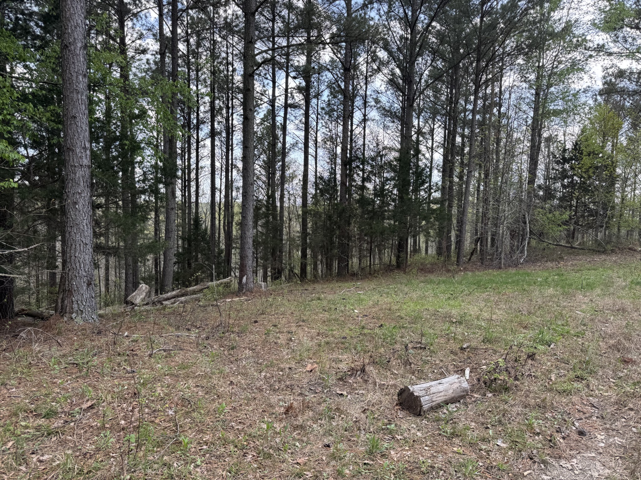 0 Ary Cemetery Property Photo 27