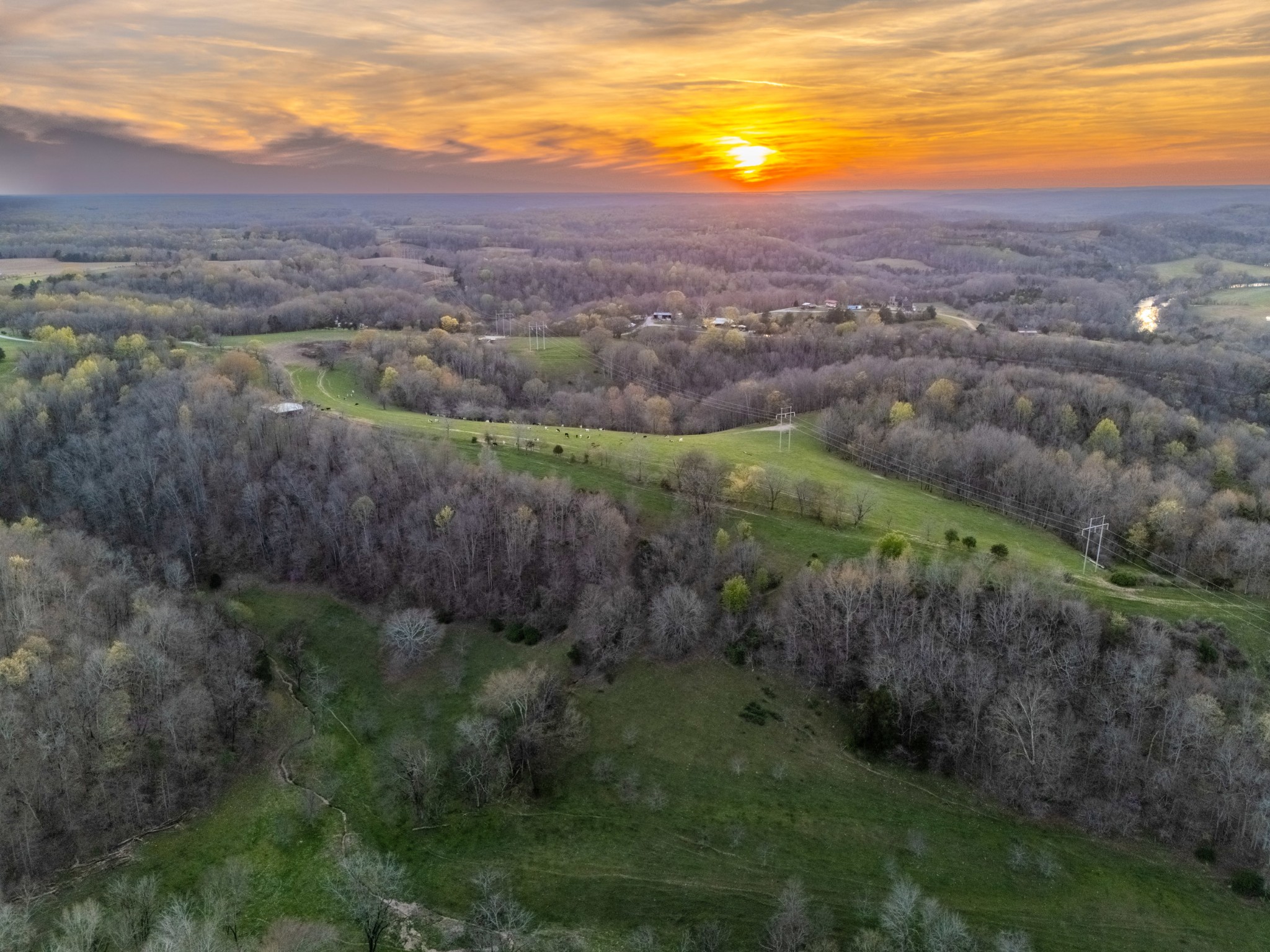 150 Acres Shady Grove Rd Property Photo