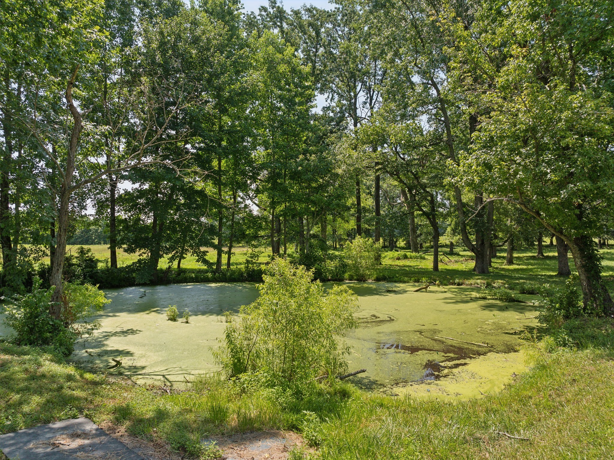 253 Halltown Rd Property Photo 26