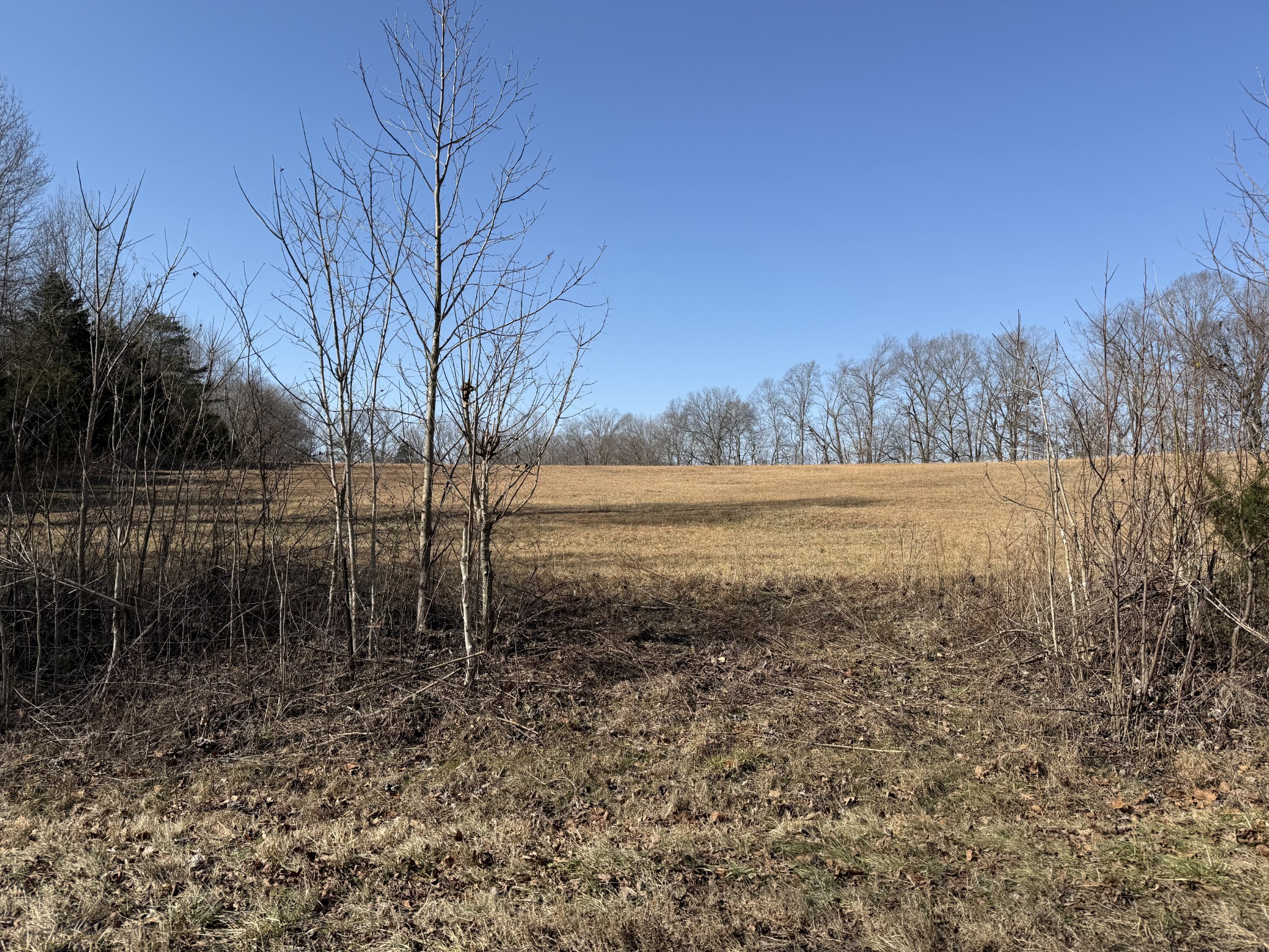 0 New Hope Rd Property Photo 2