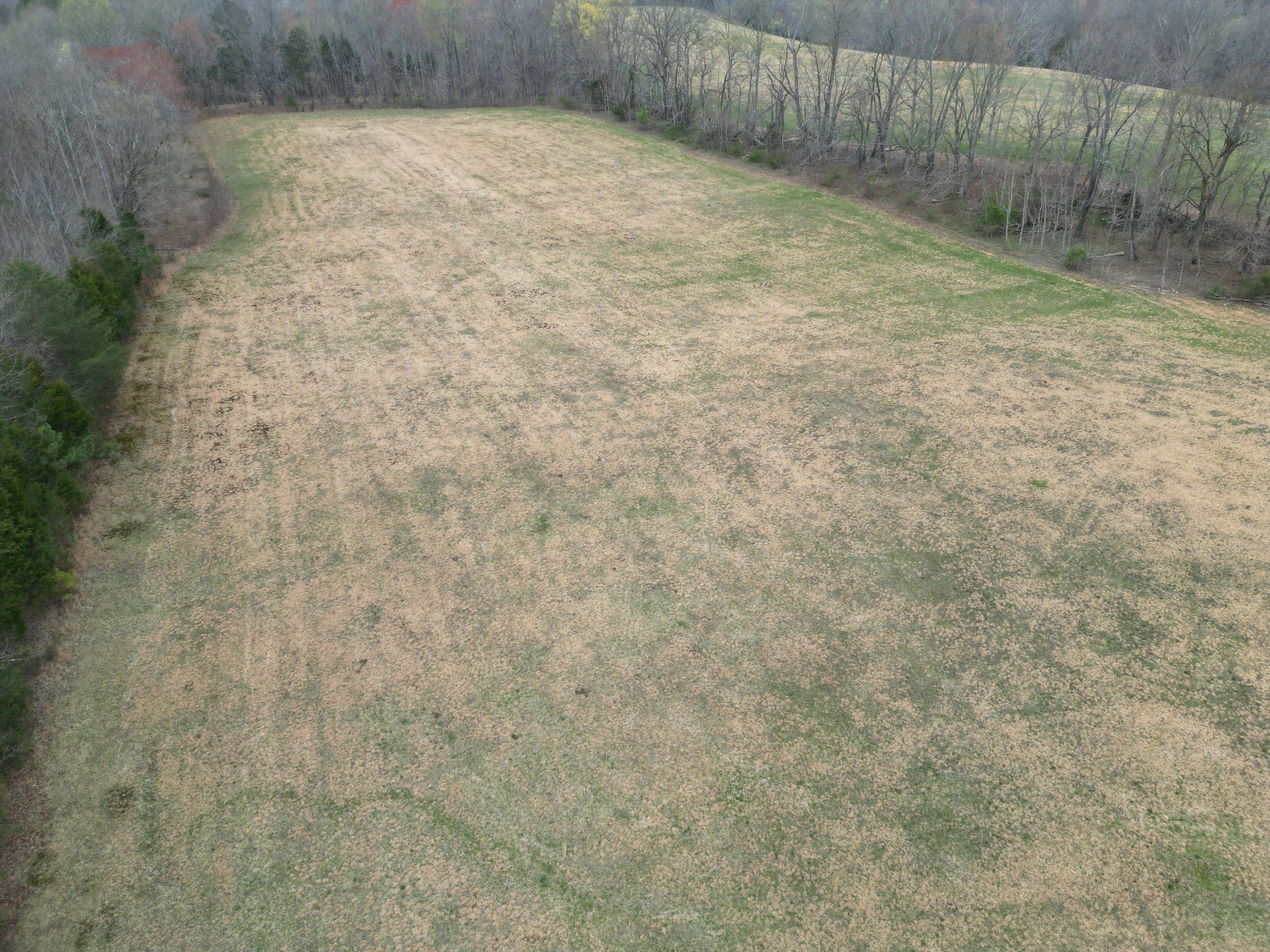 0 New Hope Rd Property Photo 4