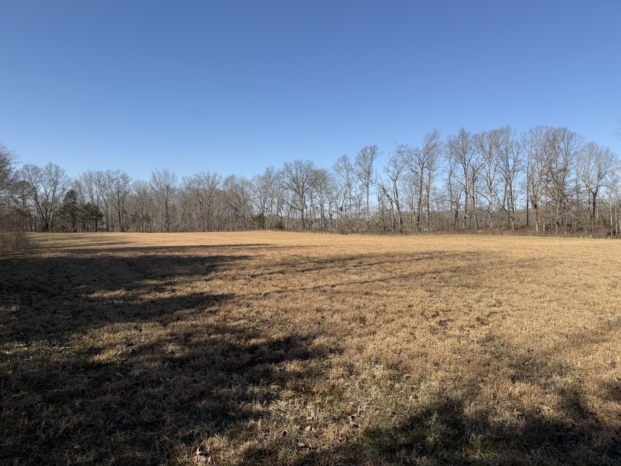 0 New Hope Rd Property Photo 5