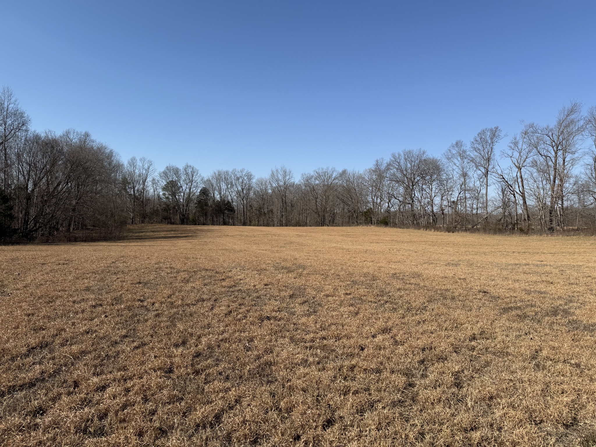 0 New Hope Rd Property Photo 6