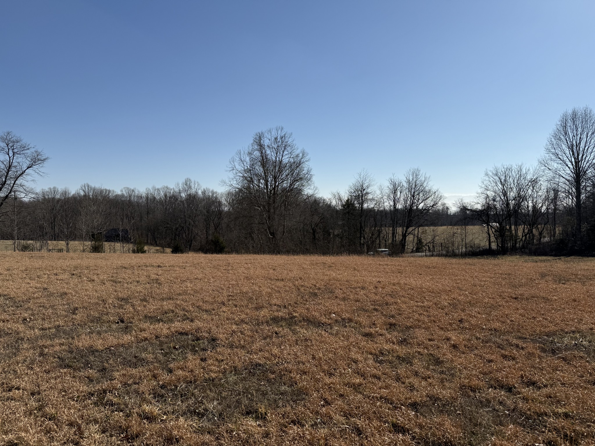 0 New Hope Rd Property Photo 8