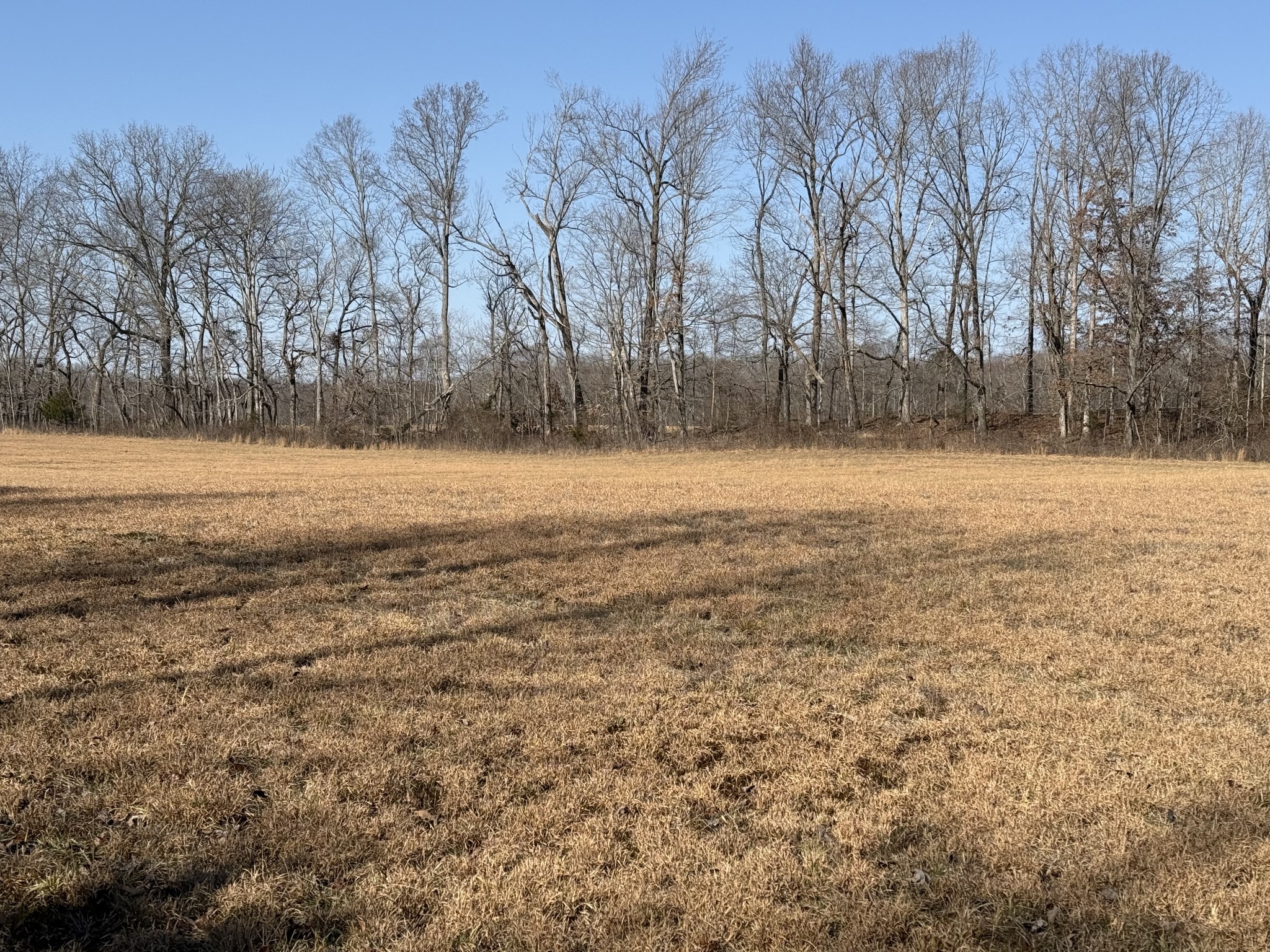 0 New Hope Rd Property Photo 12