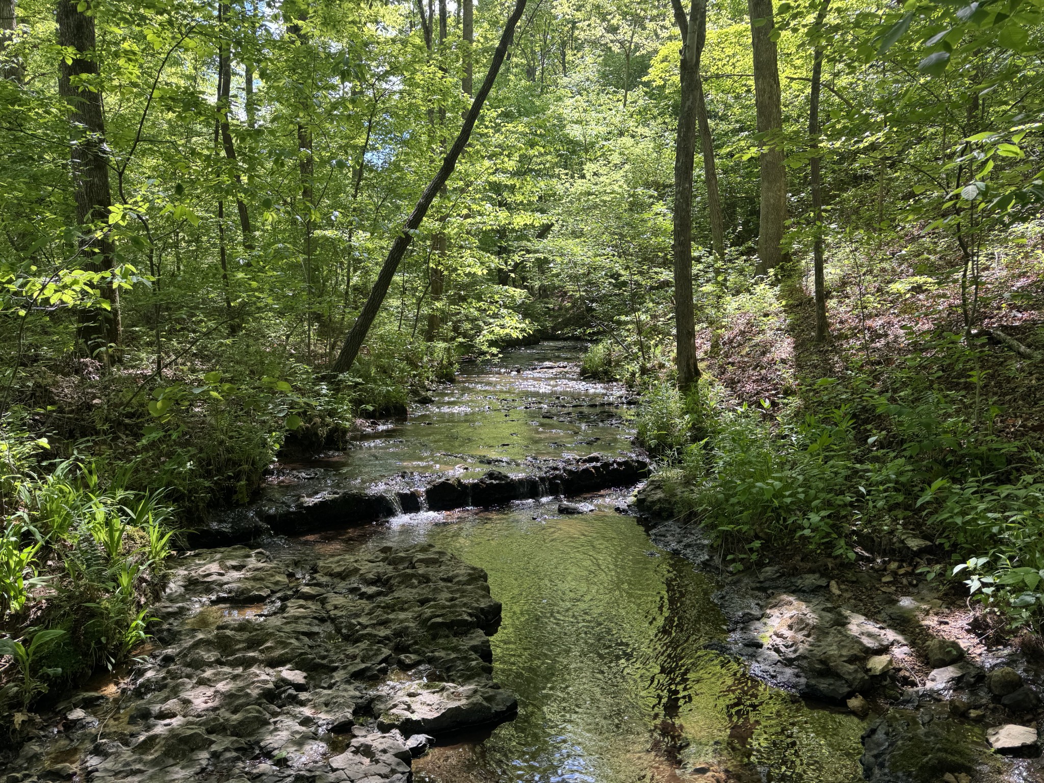 283 Dyestone Springs Road Property Photo