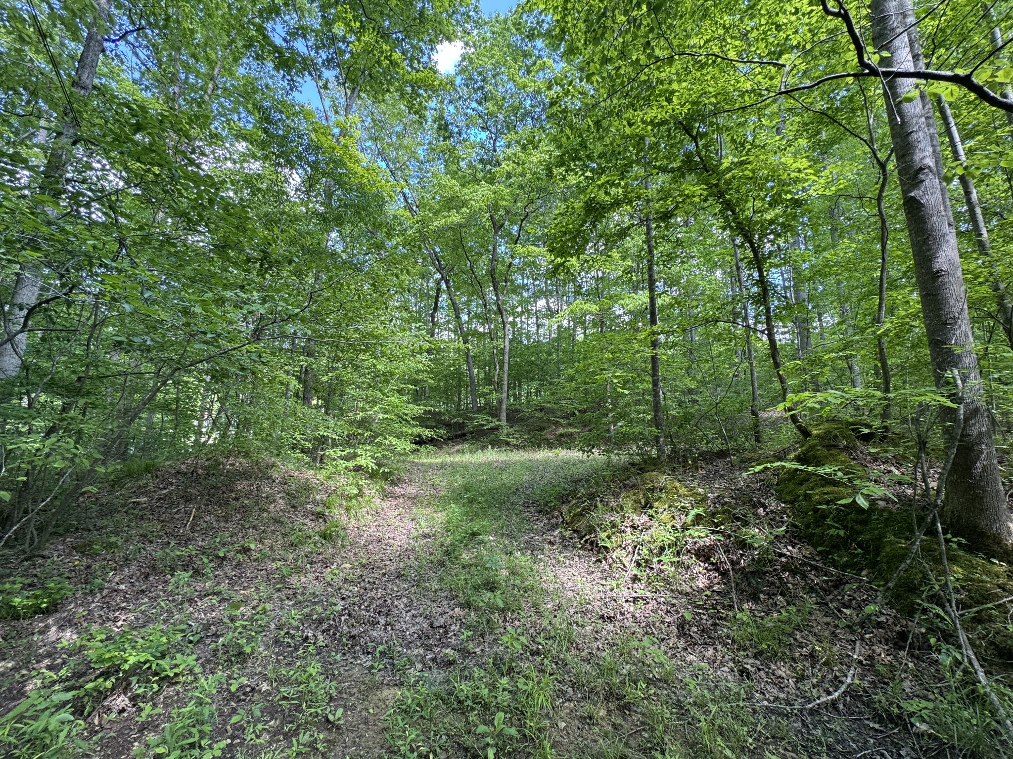 283 Dyestone Springs Road Property Photo 29