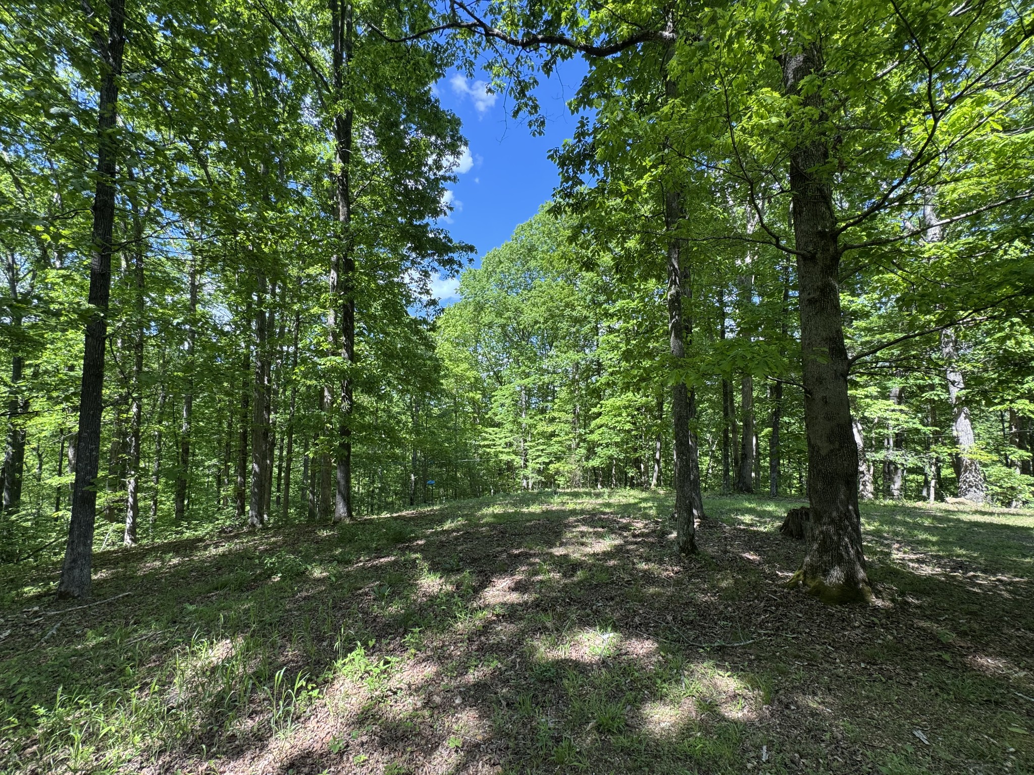 283 Dyestone Springs Road Property Photo 37