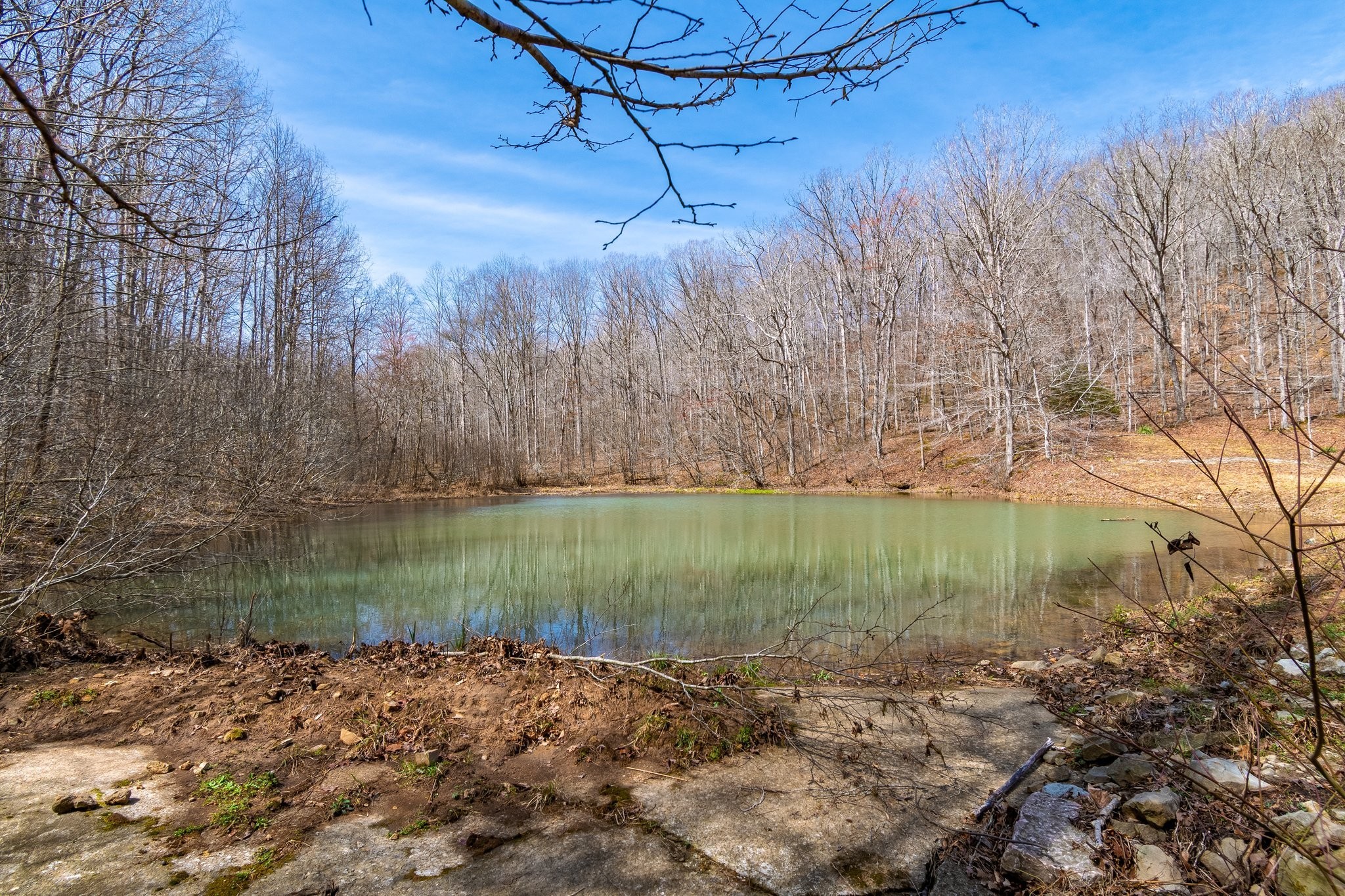 283 Dyestone Springs Road Property Photo 49