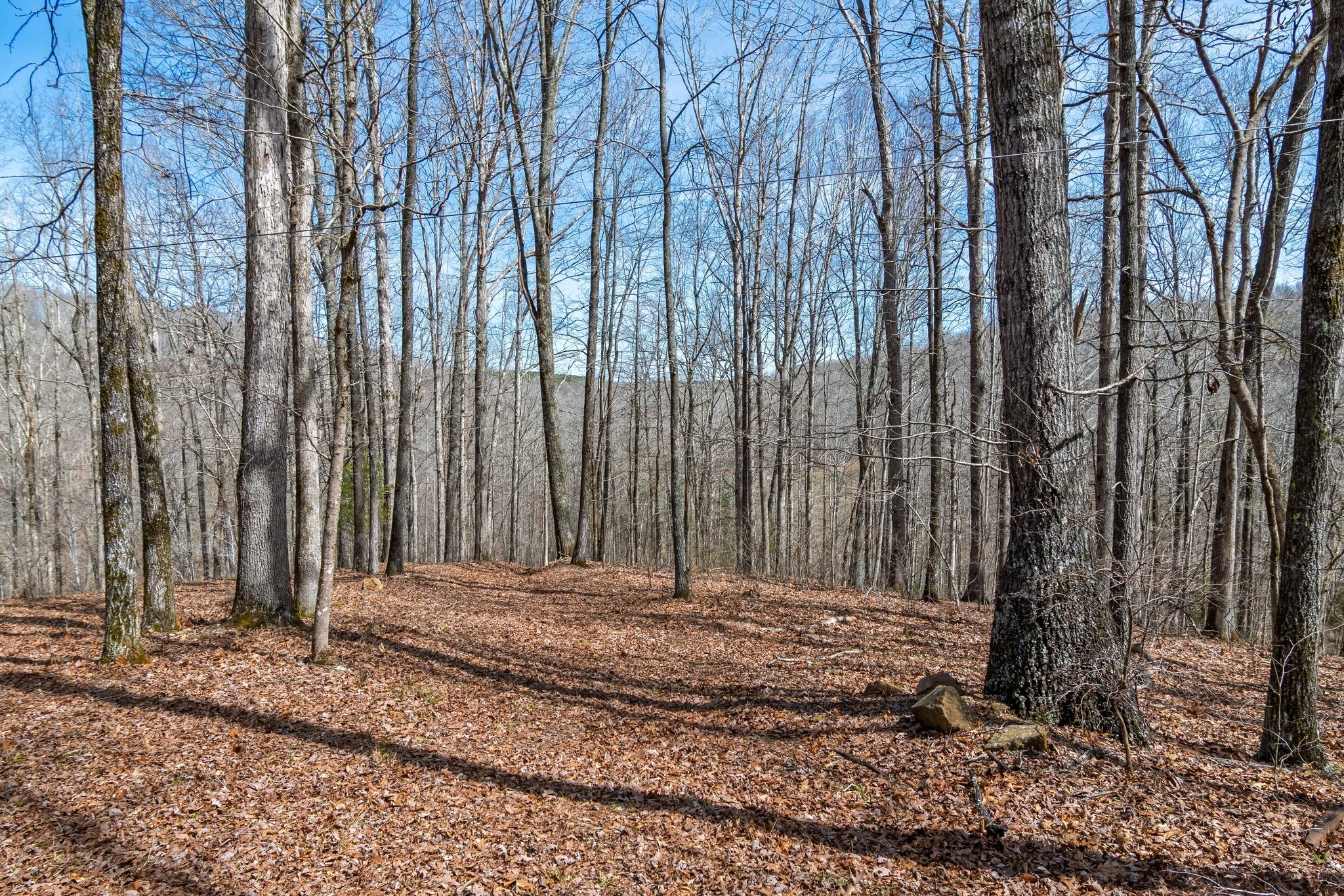 283 Dyestone Springs Road Property Photo 51
