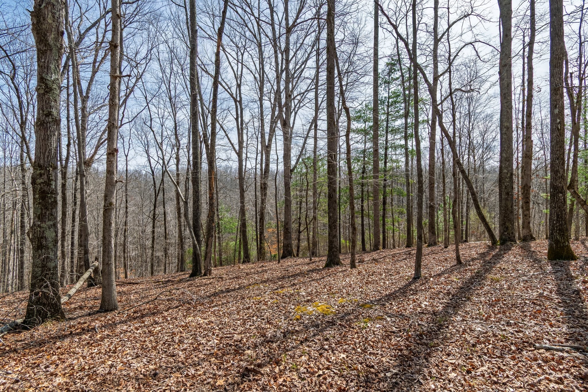 283 Dyestone Springs Road Property Photo 53
