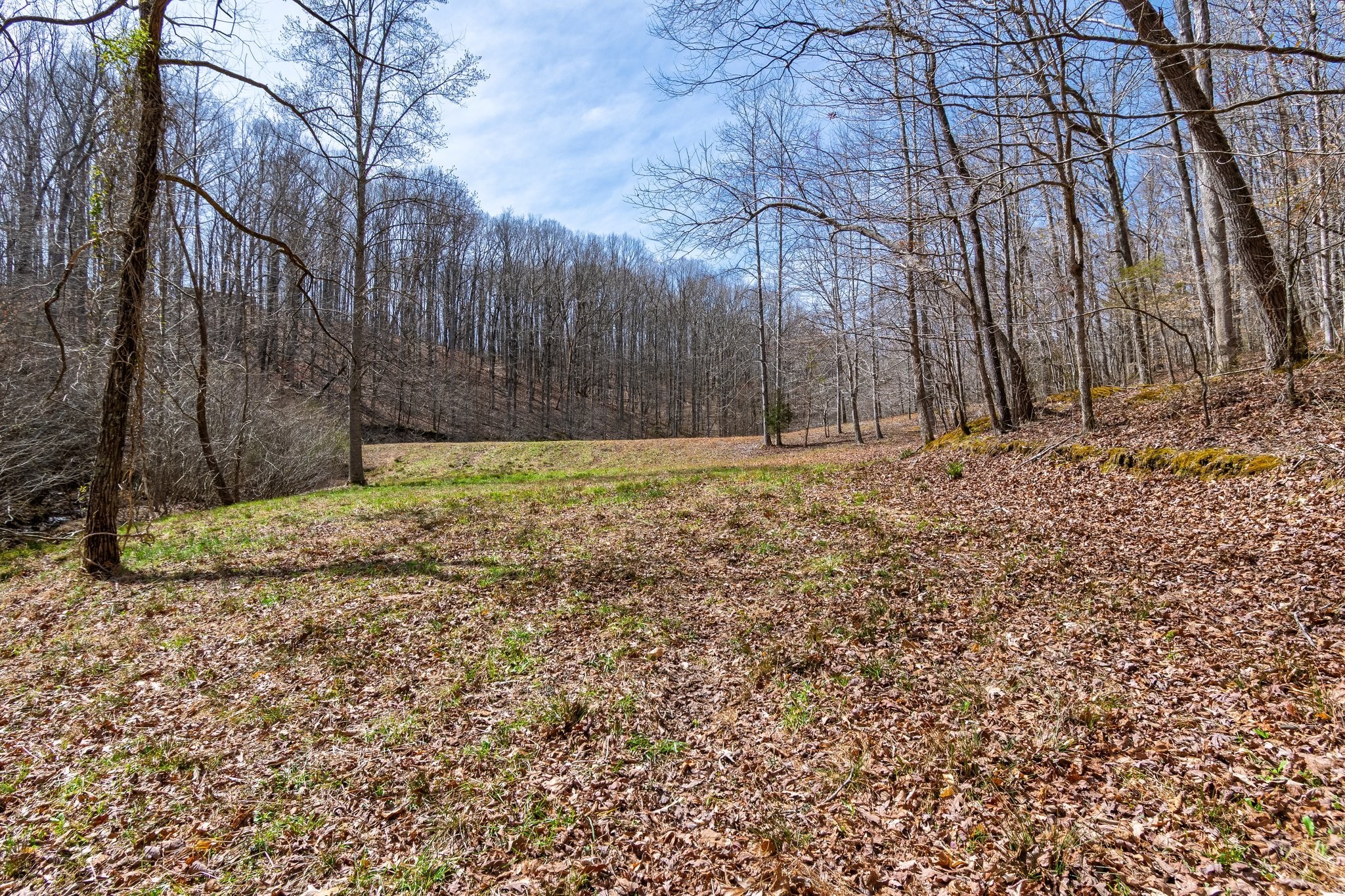 283 Dyestone Springs Road Property Photo 57