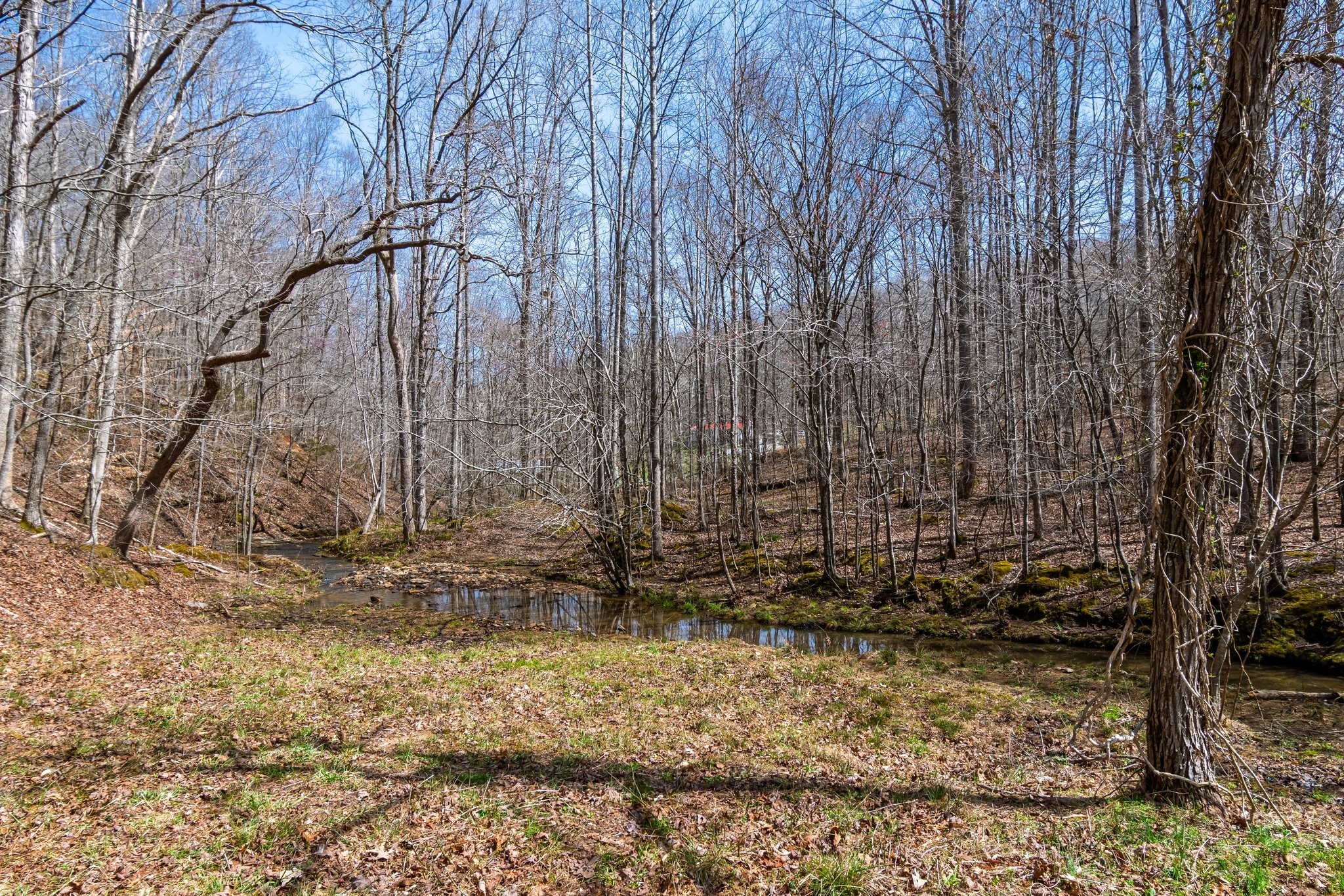 283 Dyestone Springs Road Property Photo 58