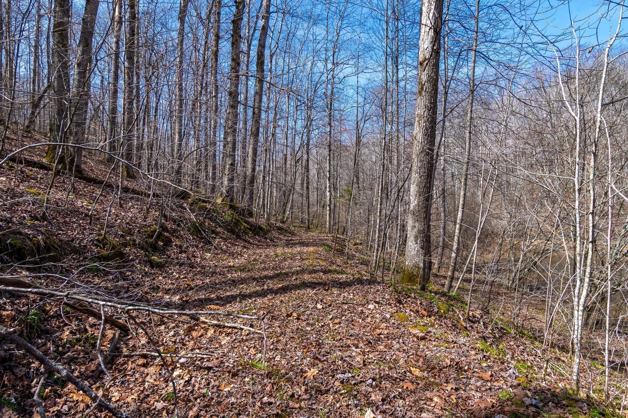 283 Dyestone Springs Road Property Photo 59
