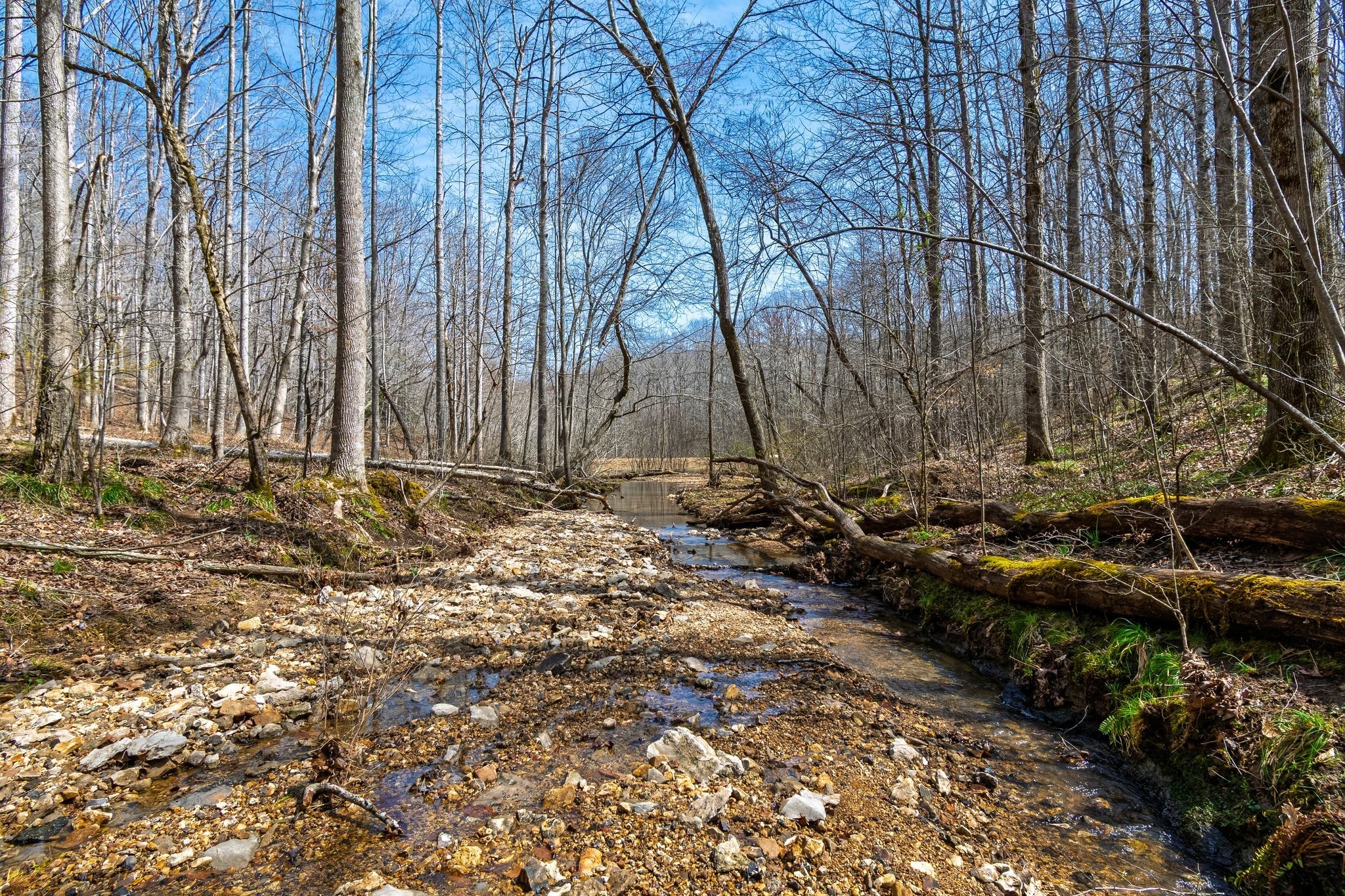 283 Dyestone Springs Road Property Photo 60