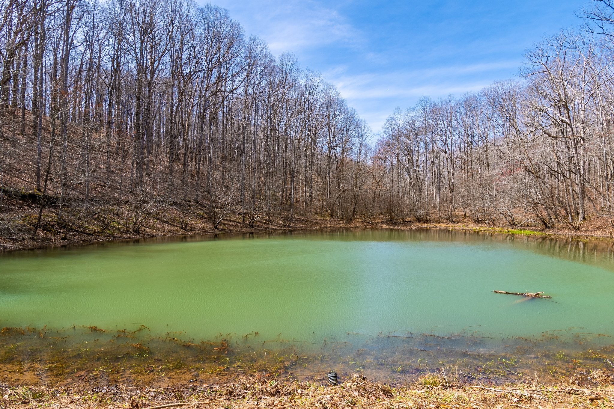 283 Dyestone Springs Road Property Photo 62