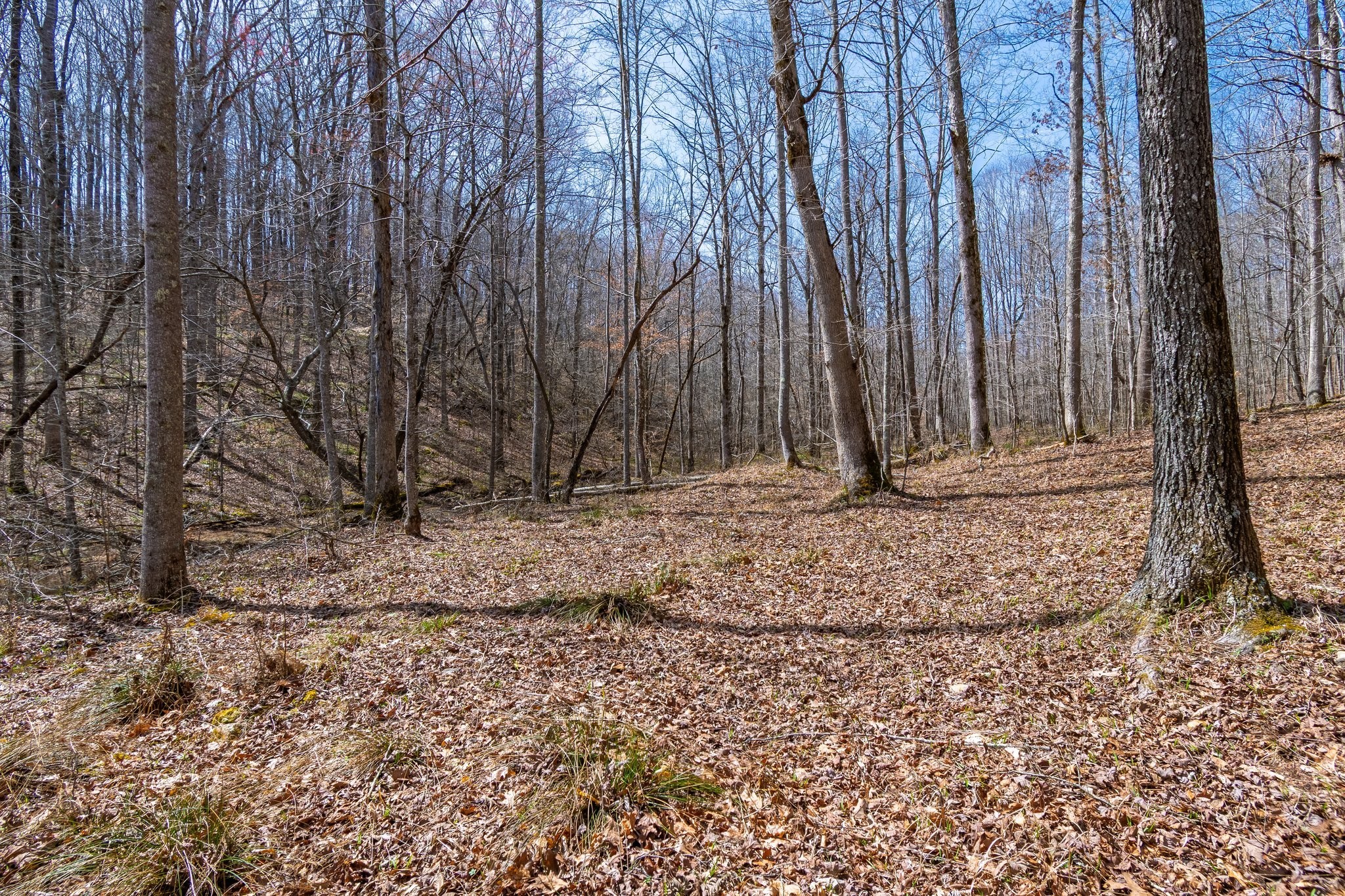 283 Dyestone Springs Road Property Photo 67
