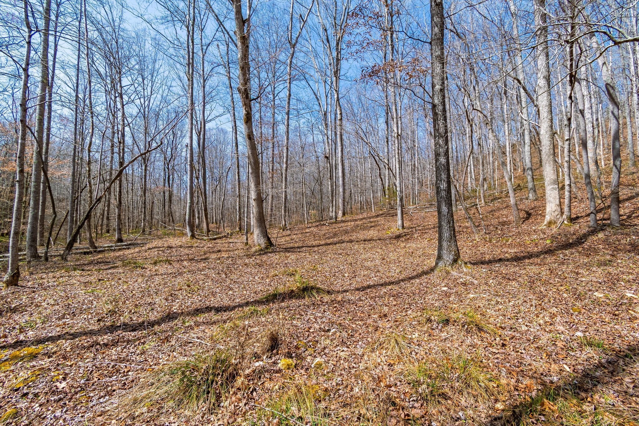 283 Dyestone Springs Road Property Photo 68