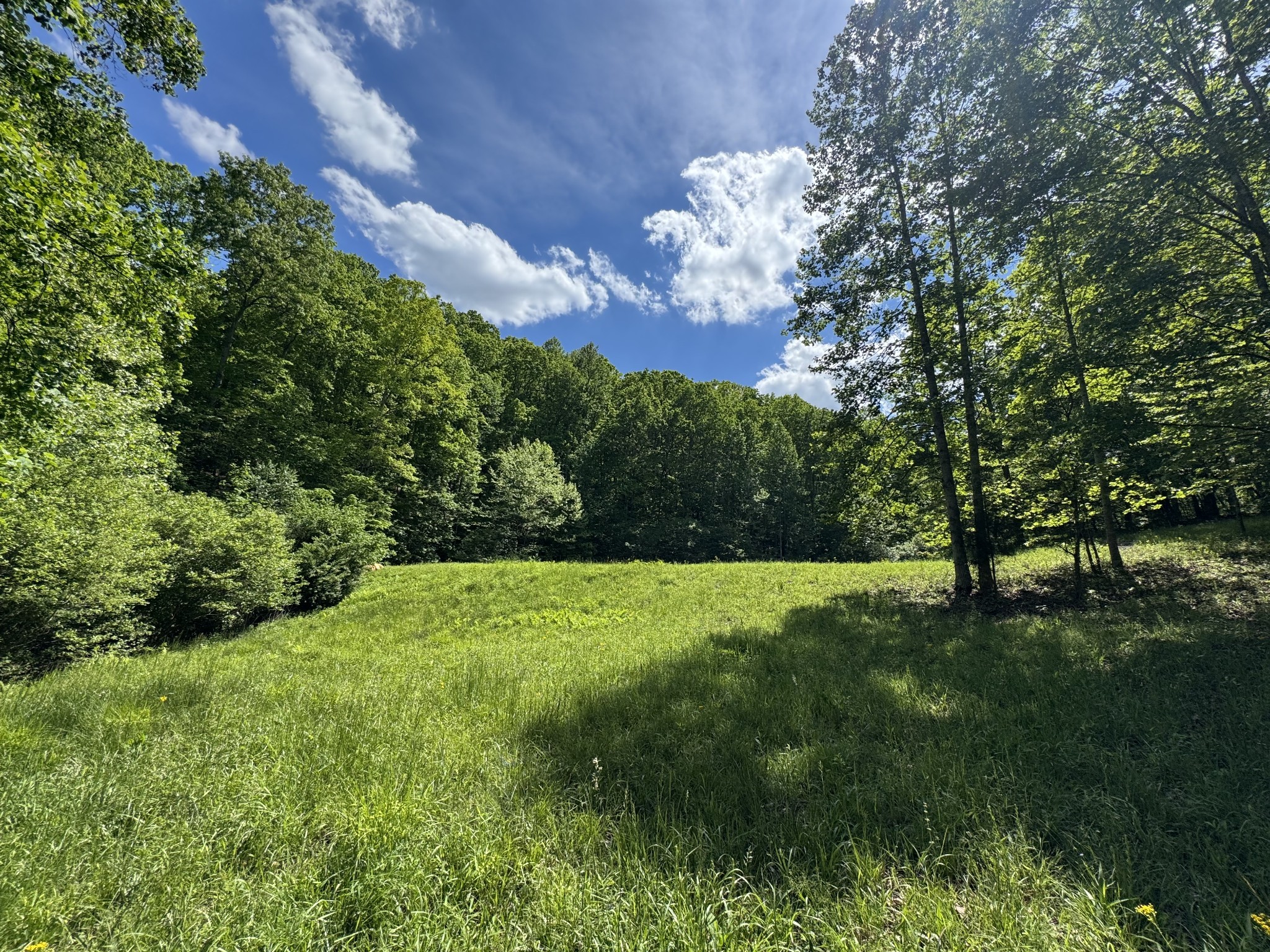 283 Dyestone Springs Road Property Photo 3