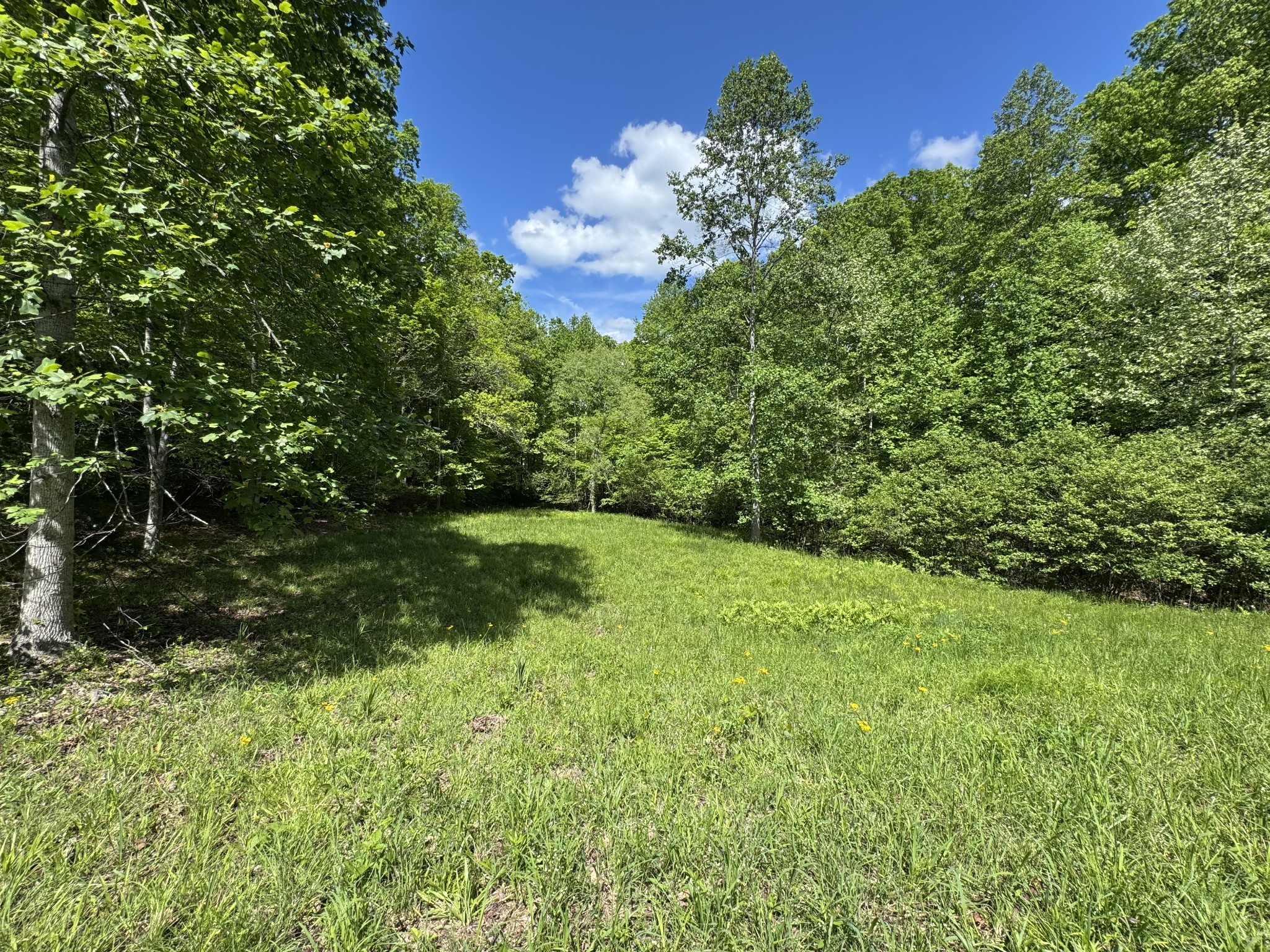 283 Dyestone Springs Road Property Photo 7