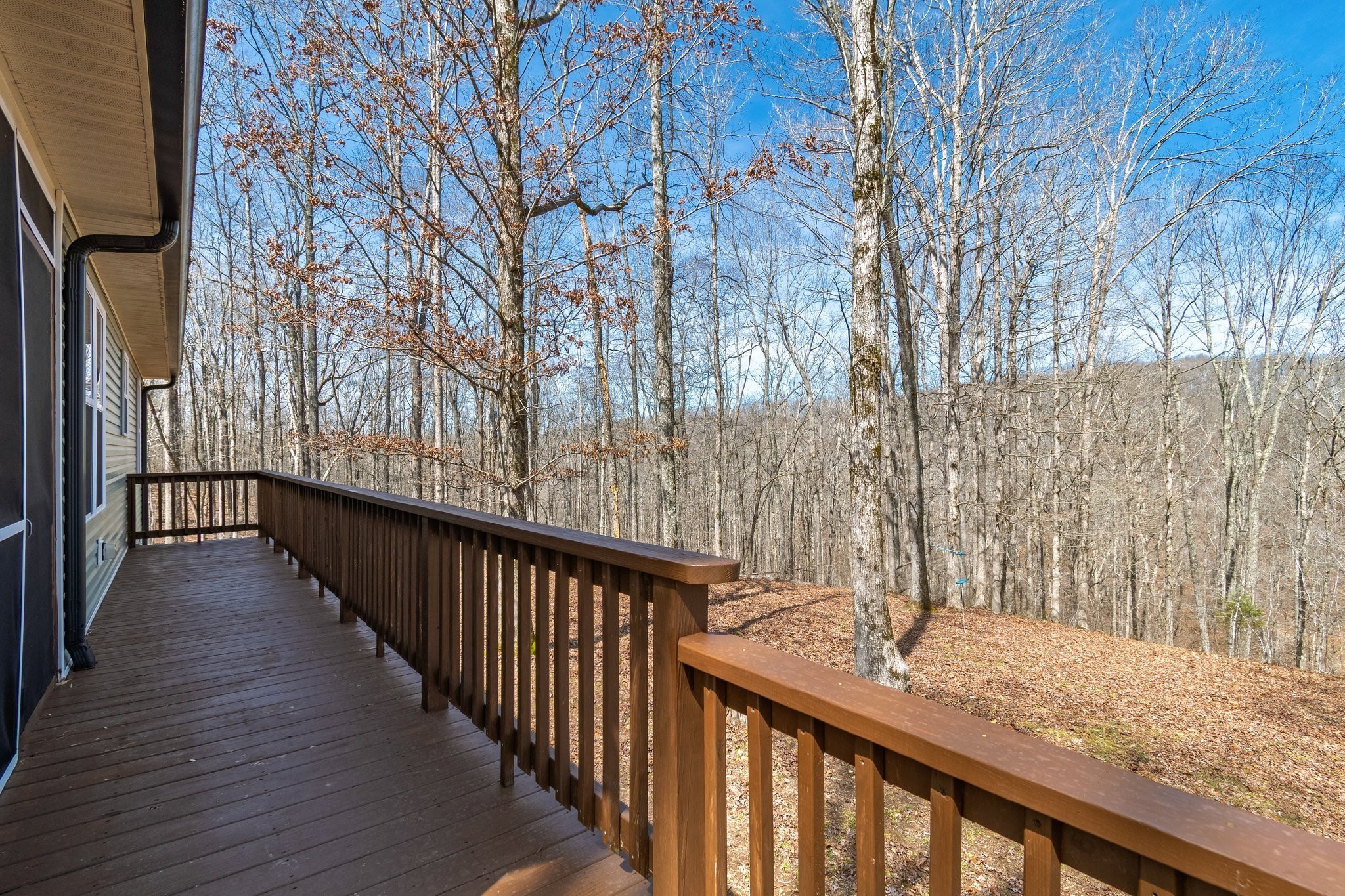 283 Dyestone Springs Road Property Photo 21