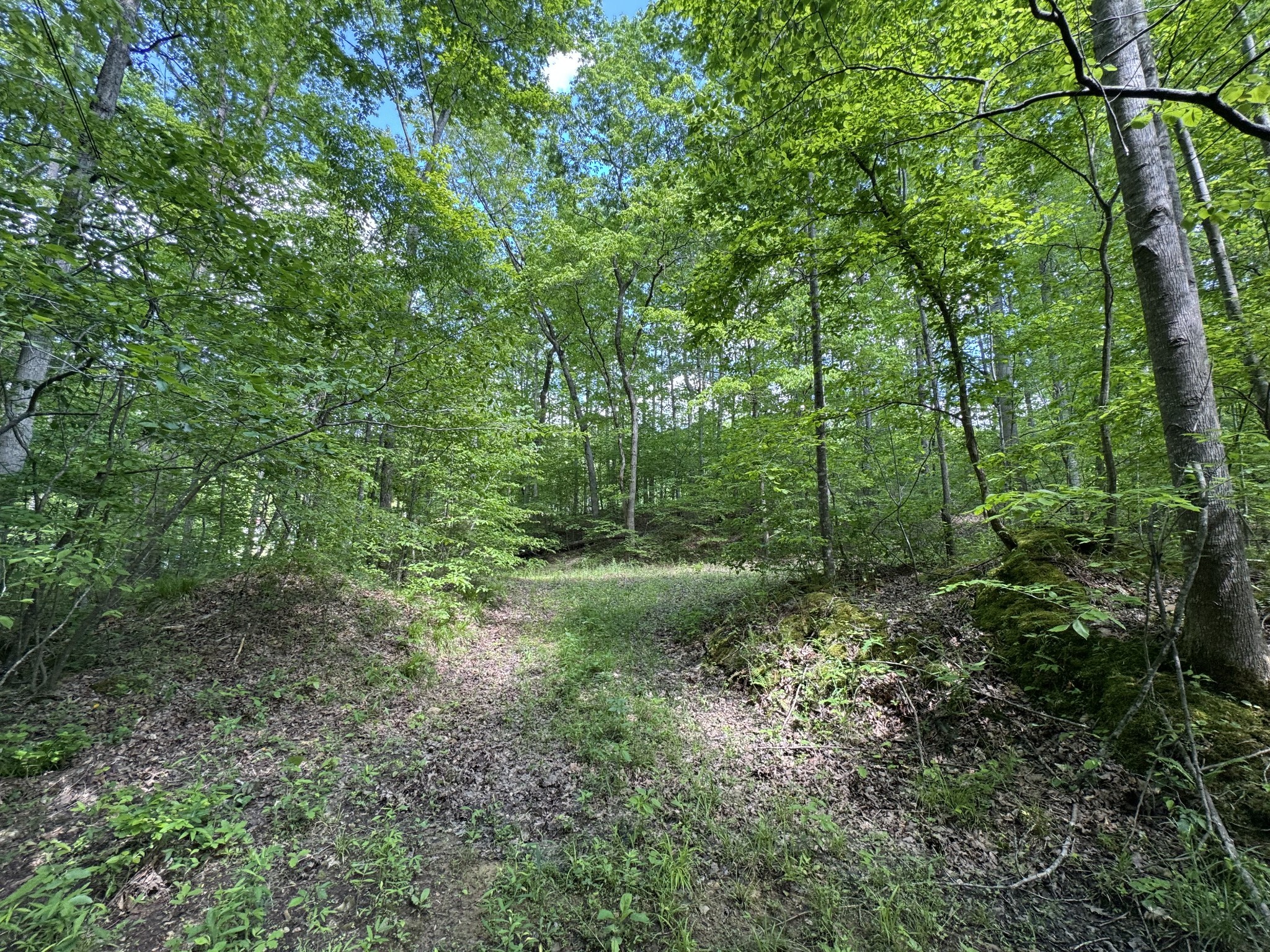 283 Dyestone Springs Road Property Photo 29