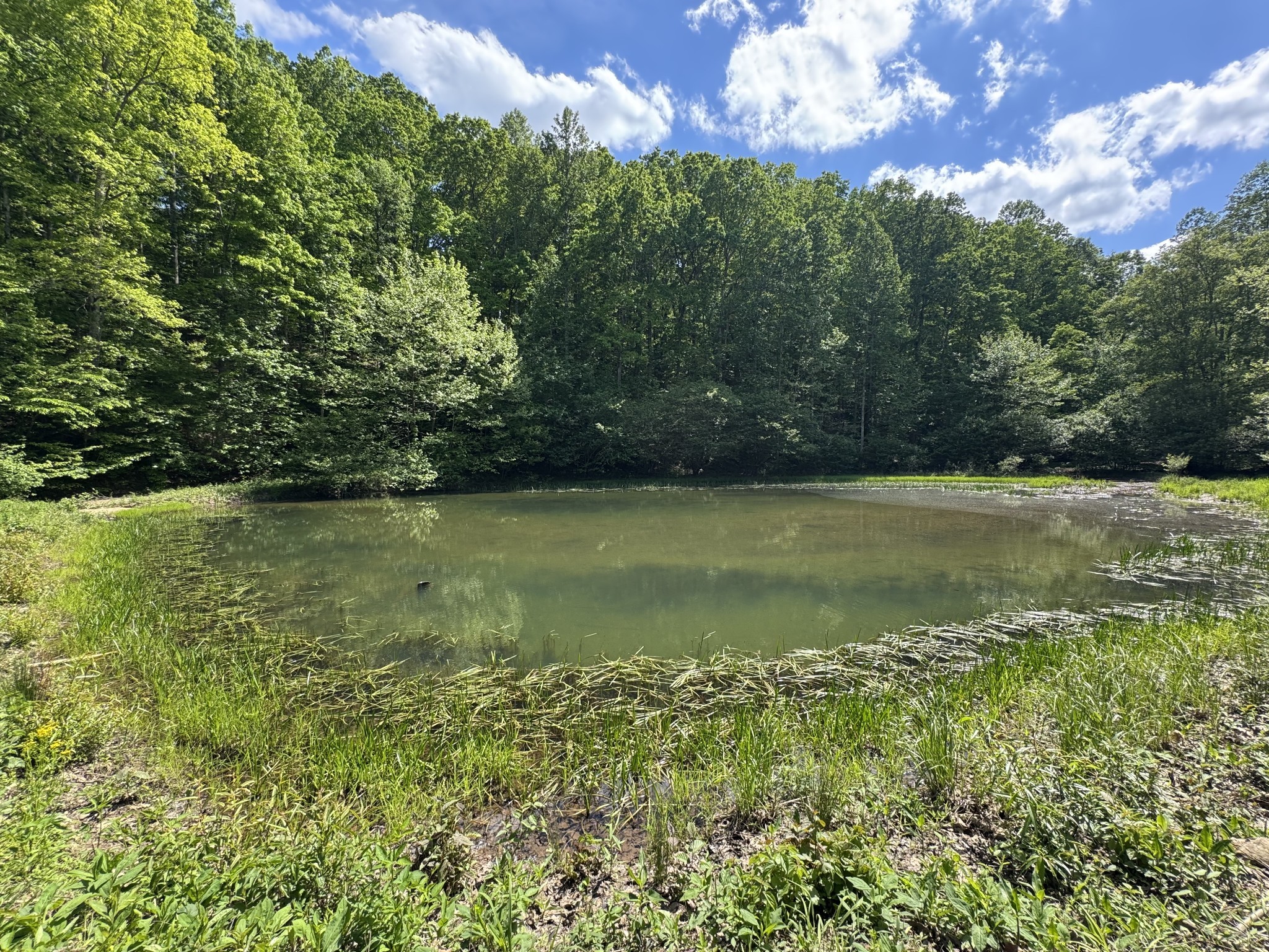 283 Dyestone Springs Road Property Photo 30