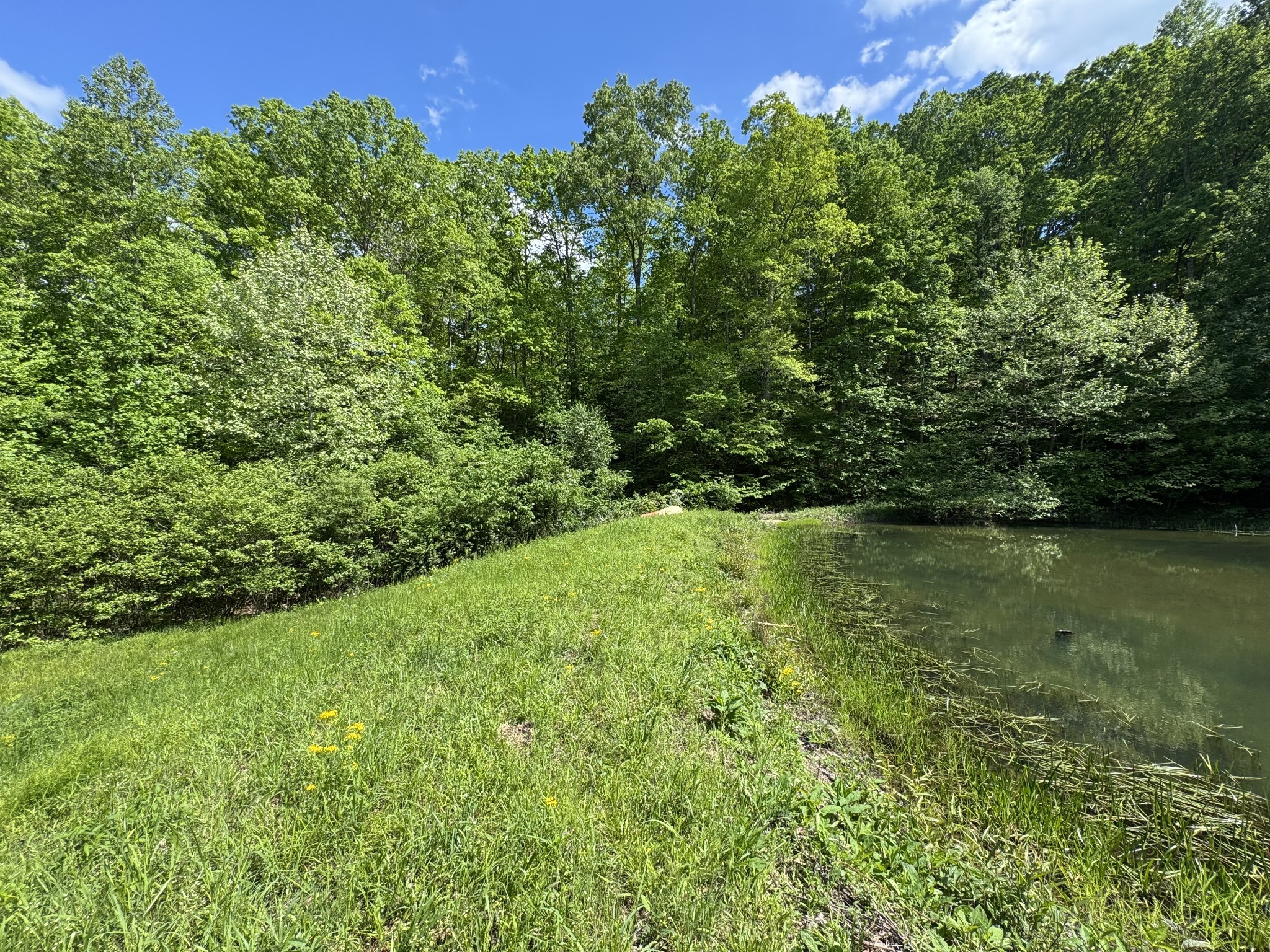 283 Dyestone Springs Road Property Photo 32
