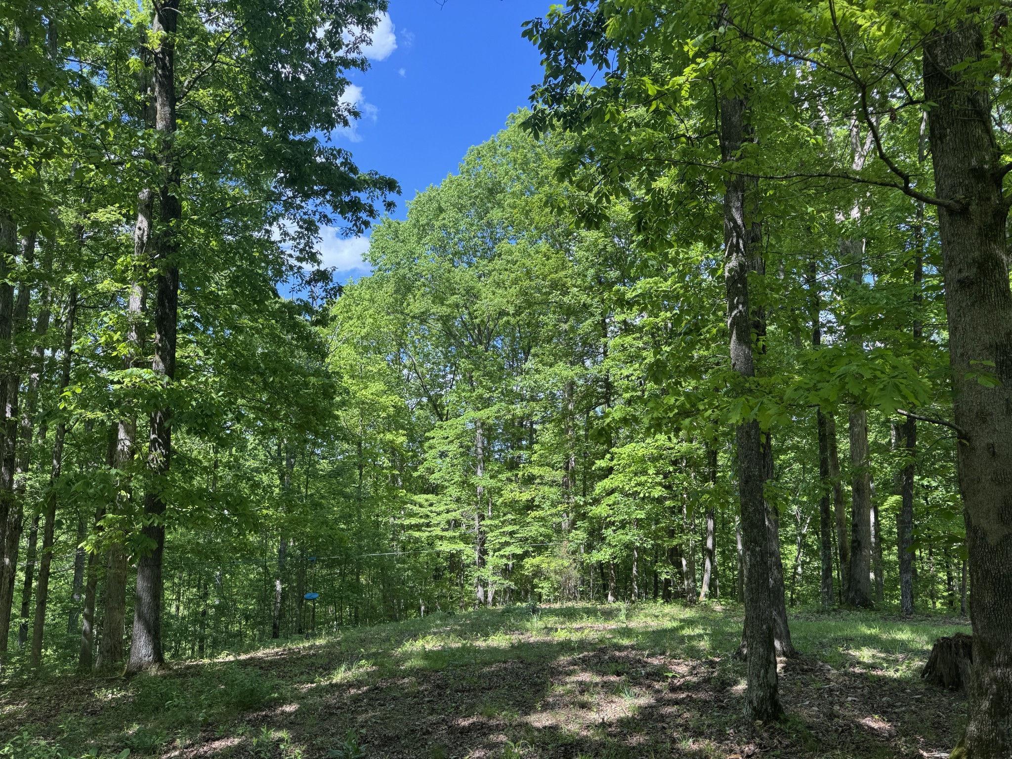 283 Dyestone Springs Road Property Photo 35