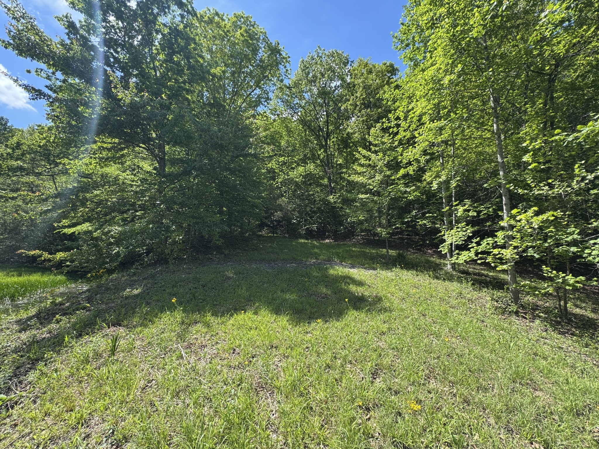 283 Dyestone Springs Road Property Photo 36