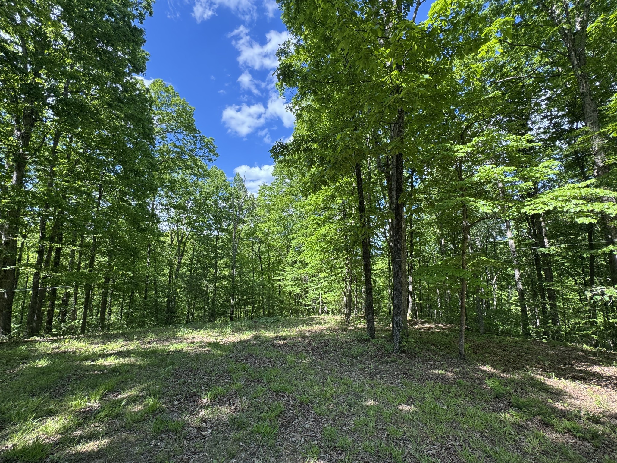 283 Dyestone Springs Road Property Photo 38