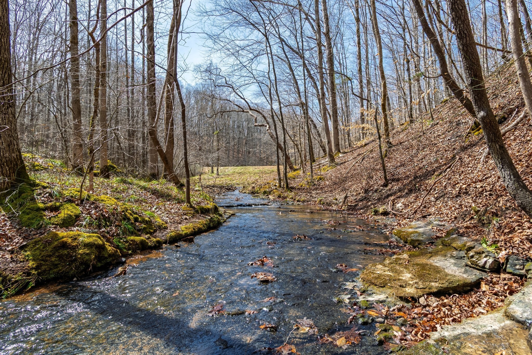283 Dyestone Springs Road Property Photo 42