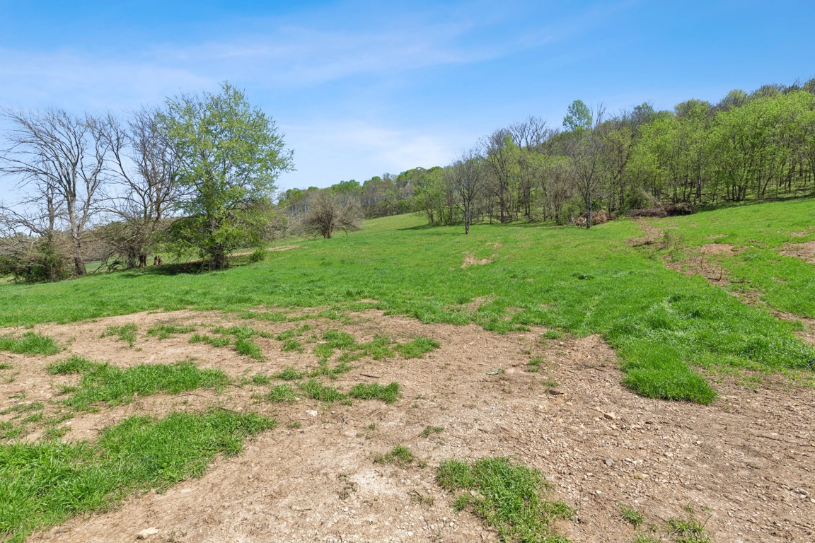 2 Granville Highway Property Photo 4