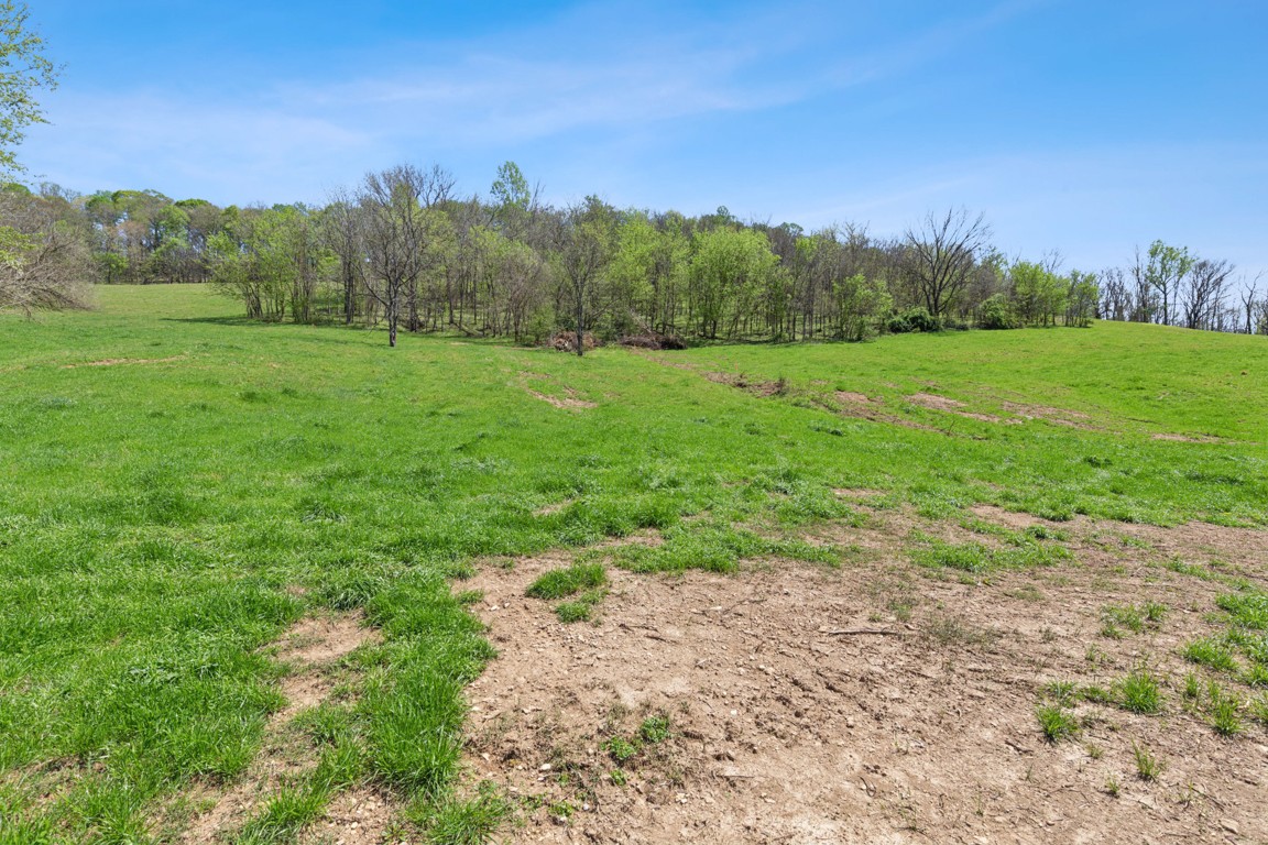 2 Granville Highway Property Photo 5
