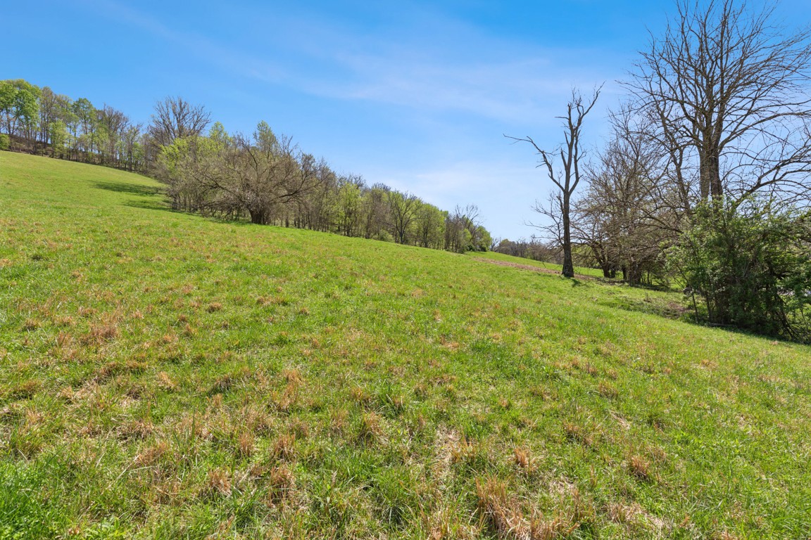 2 Granville Highway Property Photo 9