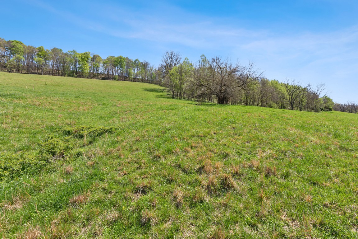 2 Granville Highway Property Photo 11